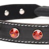 Red Rhinestone Choker with O-Ring - Model RRC-101 - Unisex - Neck and Décolletage Pleasure - Captivating Crimson - Adult Naughty Store