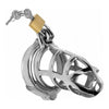 Detained Stainless Steel Chastity Cage - A Captivating Male Chastity Device for Unmatched Control and Pleasure