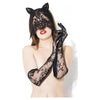 Coquette International Lingerie Darque Sex Kitten Cat Mask & Glove Set Black O/S - Seductive Lace Veil, Wire Ears, and Wet Look Gloves - Adult Naughty Store