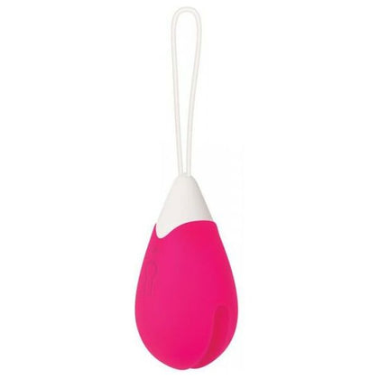 Evolved Novelties Rechargeable Egg Pink Vibrator Remote Control - Model ENSRV-2001 - For Women - Clitoral Stimulation - Pink - Adult Naughty Store