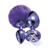 Global Novelties Nixie Metal Butt Plug Set - Model NP-2021 - Unisex Anal Pleasure - Purple Metallic - Adult Naughty Store