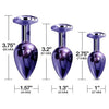 Global Novelties Nixie Metal Plug Trainer Set NP-2022 - Unisex Anal Pleasure - Purple Metallic - Adult Naughty Store