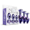 Global Novelties Nixie Metal Plug Trainer Set NP-2022 - Unisex Anal Pleasure - Purple Metallic - Adult Naughty Store