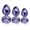 Global Novelties Nixie Metal Plug Trainer Set NP-2022 - Unisex Anal Pleasure - Purple Metallic - Adult Naughty Store