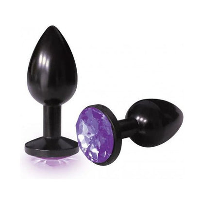 The Nines Silver Starter Anodized Bejeweled Steel Plug with Violet End - Model NSAB-001 - Unisex Anal Pleasure Toy - Adult Naughty Store