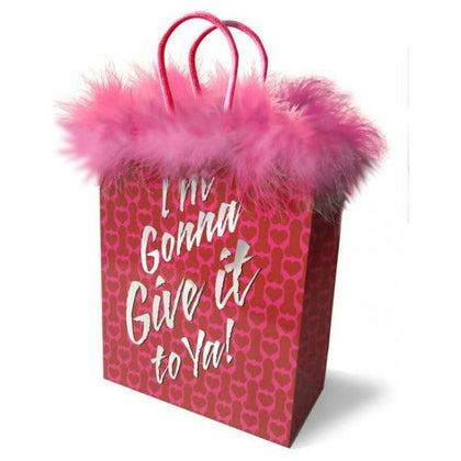 Little Genie I'm Gonna Give It To Ya! Adult Gift Bag - Medium, Surprise-Filled Pleasure Package for All Genders - Model: IGX-001, Vibrant Red