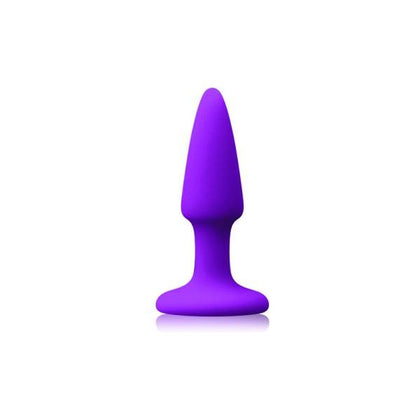 NS Novelties Colours Pleasures Mini Plug Purple - Model NP-1018 - Unisex Anal Pleasure Toy - Adult Naughty Store