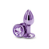 NS Novelties Rear Assets Small Purple Aluminum Butt Plug - NSN-0964-05 - Unisex Anal Pleasure Toy - Adult Naughty Store