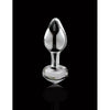 Pipedream Products Icicles No 44 Glass Anal Plug - Clear, Elegant and Sensual Pleasure for All Genders - Adult Naughty Store