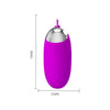 Pretty Love Joanna Bullet Vibrator Purple - Powerful Rechargeable Egg with Pleasure Nubs for Intense Stimulation - 12 Vibration Functions - Remote Control - USB Rechargeable - Perfect for Women - Clitoral and G-Spot Pleasure - Elegant Purple Color
