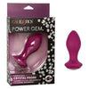 Introducing the Exquisite Pleasure Gems Power Gem Vibrating Crystal Probe Purple - Model PGVP-001: The Ultimate Anal Delight! - Adult Naughty Store