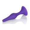 Cal Exotics Booty Call Booty Starter Purple Silicone Butt Plug for Sensual Anal Pleasure - Model BCP-001 - Unisex Pleasure - Compact and Discreet - Adult Naughty Store