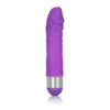 Shane's World Silicone Buddy Purple Vibrator - The Ultimate Pleasure Companion for Intimate Moments - Adult Naughty Store