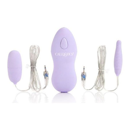 Pleasure Pak Purple Bullet Vibrators - Double Your Sensual Delight!