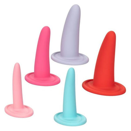 California Exotic Novelties She-ology 5 Piece Wearable Vaginal Dilator Set - Model 5WD-001 - Women's Pelvic Health and Pleasure - Lavender - Adult Naughty Store