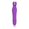 Shane's World Bedtime Bunny Purple Vibrator - Model BW-101 - For Women - Clitoral Stimulation - Intense Pleasure - Adult Naughty Store