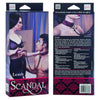 California Exotic Novelties Scandal Leash Black-Red: Heavy Duty Metal Chain with Designer Handle for Bondage Play