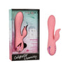 California Exotic Novelties Pasadena Player Pink Rabbit Vibrator - Model PPRV-001 - Women's Dual Pleasure - Pink