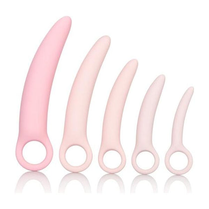 CalExotics Inspire Silicone Dilator Kit Pink - Gradual Vaginal Dilation for Women's Sexual Health - Adult Naughty Store