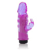 Amethyst Arouser Vibe - Powerful Dual-Tongued Stimulator for Women - Purple - Adult Naughty Store