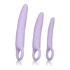 Dr. Laura Berman Alena Set of 3 Silicone Dilators - Purple, Ergonomic Handheld Vaginal Dilators for Women's Intimate Pleasure - Adult Naughty Store