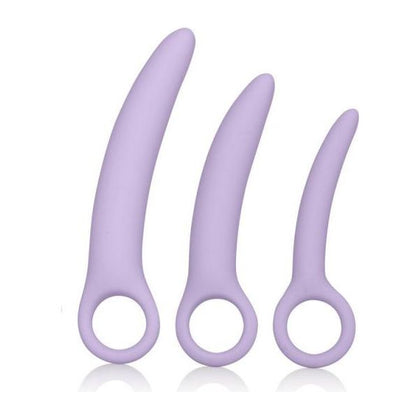 Dr. Laura Berman Alena Set of 3 Silicone Dilators - Purple, Ergonomic Handheld Vaginal Dilators for Women's Intimate Pleasure - Adult Naughty Store