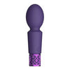 Royal Gems Brilliant Purple Rechargeable Silicone Bullet Vibrator - Model RG-001 - For Intense Clitoral Stimulation - Women's Pleasure - Elegant Purple - Adult Naughty Store