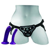 Sportsheets Anal Explorer Kit - Comprehensive Strap-On Harness Set for Anal Pleasure Exploration (Model AEK-2000, Unisex, Black)