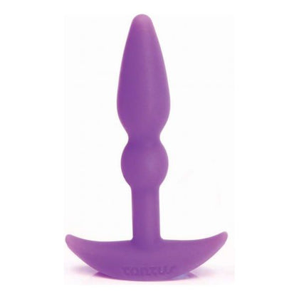 Tantus Silicone Perfect Plug Purple - Model TP-101 - Unisex Anal Pleasure Toy - Adult Naughty Store