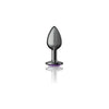 Viben Cheeky Charms CC-001 Round Purple Small Gunmetal Butt Plug for All Genders - Anal Pleasure Toy - Adult Naughty Store