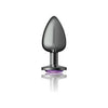 Viben Cheeky Charms CC-1001 Large Gunmetal Butt Plug for Sensational Anal Pleasure - Purple - Adult Naughty Store