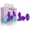 Viben Cheeky Charms Vibrating Metal Plug Purple Small with Remote Control - Model VC-101 - Unisex Anal Pleasure Toy - Adult Naughty Store