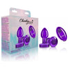 Viben Cheeky Charms Vibrating Metal Plug Purple Small with Remote Control - Model VC-101 - Unisex Anal Pleasure Toy - Adult Naughty Store