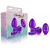 Viben Cheeky Charms Vibrating Metal Plug Purple Medium with Remote - Model CC-VMPPM-PRP - Adult Naughty Store