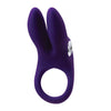 Vedo Sexy Bunny Rechargeable Cock Ring Deep Purple - Powerful Dual Motor Vibrating Love Ring for Couples Pleasure - Adult Naughty Store