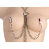 Master Series Chained Collar Nipple Clamps and Clitoris Clamps - Model MS-CCNC-001 - Unisex Metal and Vinyl Silver Pleasure Set