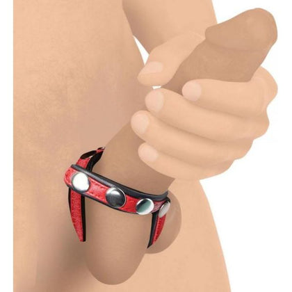 XR Brands Strict Leather Snap On Cock Gear Harness - Model SGH-2022 - Male - Cock and Ball Pleasure - Red