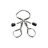 XR Brands Strict Bondage Harness with Bows Black XL/2XL - Unleash Your Submissive Desires in Style - Adult Naughty Store