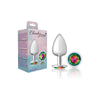 Sensual Charms CC-001 Silver Round Butt Plug with Rainbow Jewel - Exquisite Anal Pleasure for All Genders in a Spectrum of Colors - Adult Naughty Store