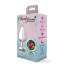 Sensual Charms CC-001 Silver Round Butt Plug with Rainbow Jewel - Exquisite Anal Pleasure for All Genders in a Spectrum of Colors - Adult Naughty Store