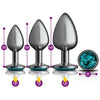 Cheeky Charms Sensational Metal Butt Plug Kit - Model CC-3PBTG - Unleash Your Pleasure in Gunmetal Grey with Teal Jewel - Adult Naughty Store