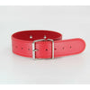 Euphoria Pleasure Collar and Leash Set - B-COL06 - Unlined Faux Leather - Black, Red, and Pink