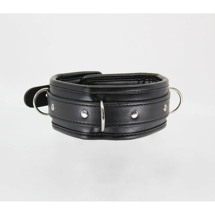 Introducing the Exquisite Pleasure B-COL18 Vegan Leather Lockable Buckle Collar - Dual Tone Delight