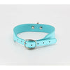 Introducing the B-COL22 Dainty Faux Leather O-Ring Choker - Turquoise/Hot Pink - Adult Naughty Store