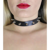 FemmeFatale CHO003 Faux Leather Choker with Silver Dog Spikes - Vegan Friendly, Adjustable Buckle Closure, 2cm Width, 30-39cm Length - Tagged