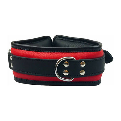 LeatherBound Delight COL061 - 3 Colour Padded Leather Collar with D Rings for BDSM Play, Unisex, Neck Restraint, Black/Red/Purple