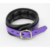 Leather Padded Collar with D Ring - COL066 - 3 Colours - Unisex BDSM Neck Restraint