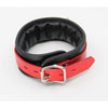 Leather Padded Collar with D Ring - COL066 - 3 Colours - Unisex BDSM Neck Restraint