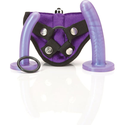 Tantus Bend Over Beginner Kit - Purple Haze: Adjustable Harness with Silk Small and Silk Medium Dildos, O-Ring, Bullet Vibrator - Unisex Anal and Vaginal Pleasure Kit - Adult Naughty Store