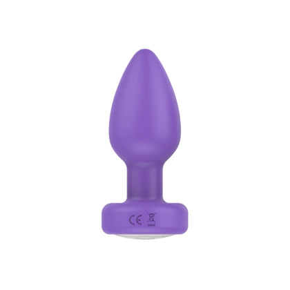 Pr17: VIBRATING PLUG W/ REMOTE - PURPLE - Adult Naughty Store